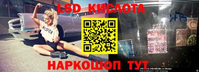 гашик Будённовск