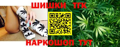 гашик Будённовск