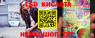 гашик Будённовск