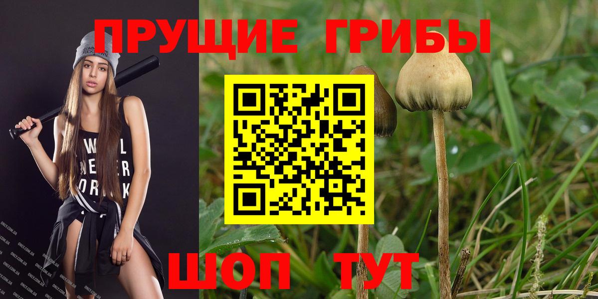 Псилоцибиновые грибы MAGIC MUSHROOMS Орск