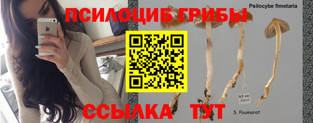 Орск  Псилоцибиновые грибы Psilocybe  Вход с VPN  Галлюциногенные грибы MAGIC MUSHROOMS 